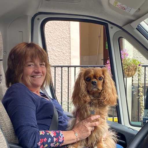 Profile image for pet sitters Petra & Steve