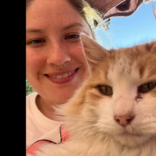 Profile image for pet sitter María