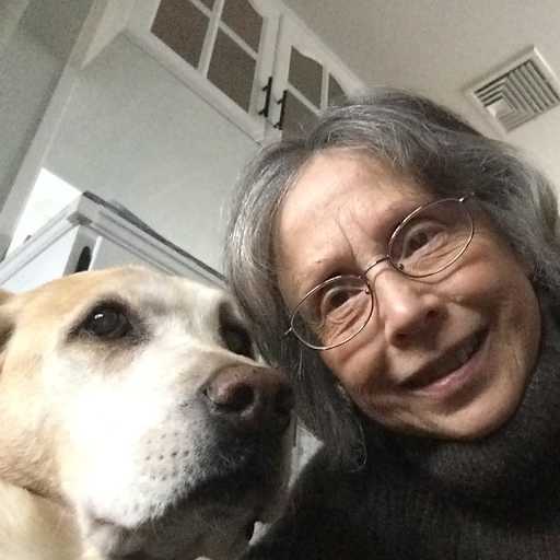 Profile image for pet sitter nancy