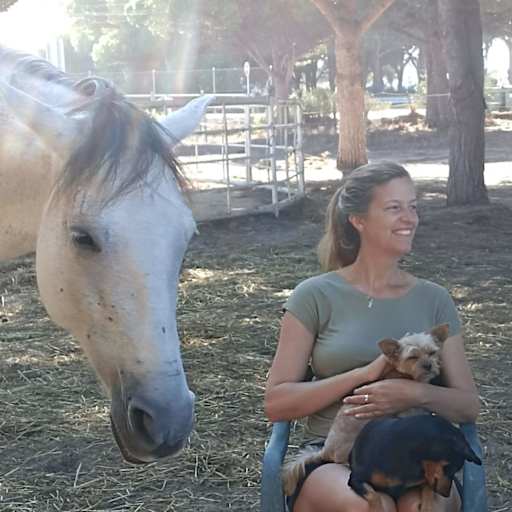 Profile image for pet sitter Rosi