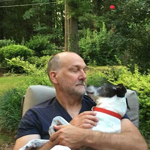 Profile image for pet sitter Dave