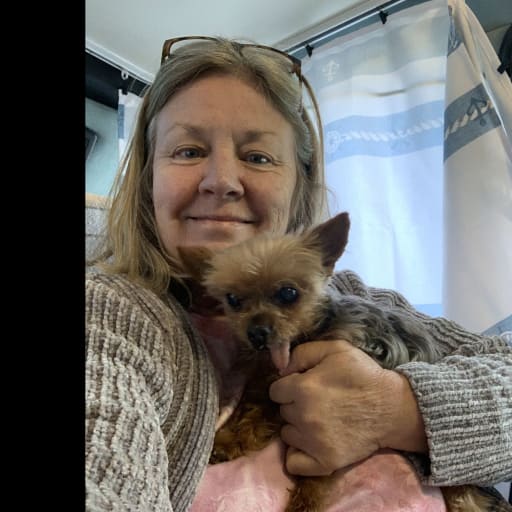 Profile image for pet sitter Karen