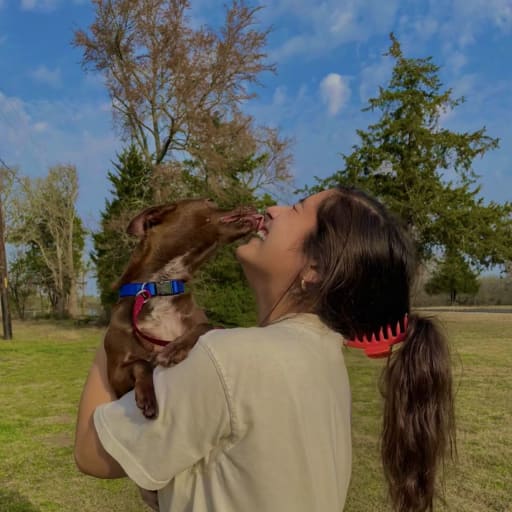 Profile image for pet sitters Hannah & Mark