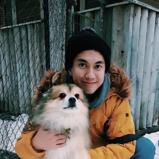 Profile image for pet sitter Vinh