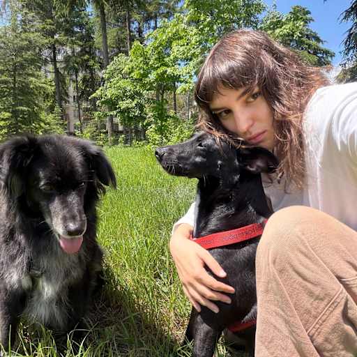 Profile image for pet sitters Alexandra & Rustam