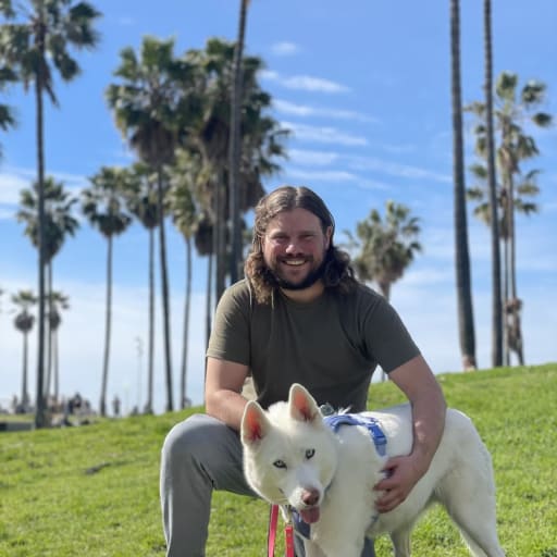 Profile image for pet sitter Nathan