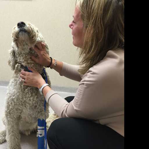 Profile image for pet sitter Andrea