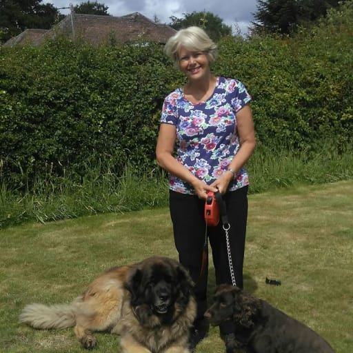 Profile image for pet sitters Rosie & Friend