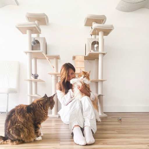 Profile image for pet sitter Olha