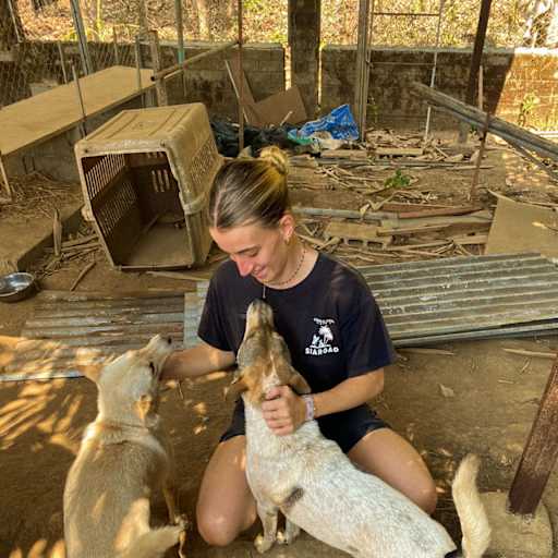 Profile image for pet sitter Léa