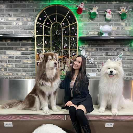 Profile image for pet sitter Farzanah