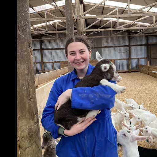 Profile image for pet sitter Sarai