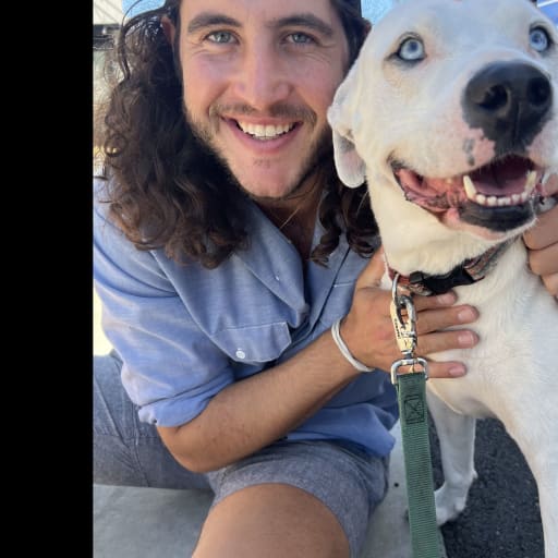Profile image for pet sitter Bennett