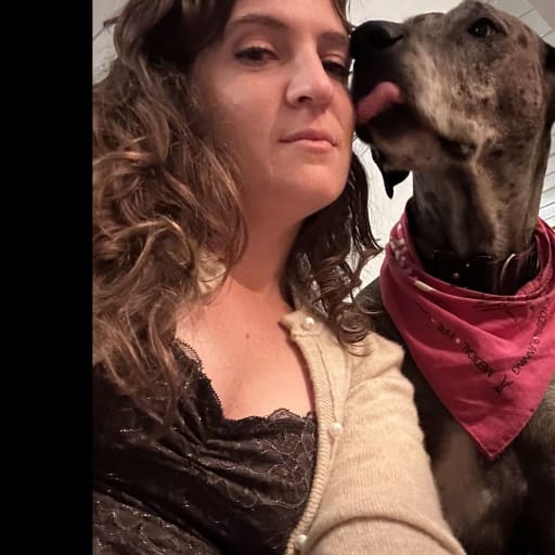 Profile image for pet sitter Cassie