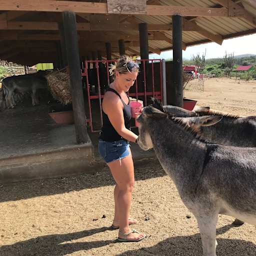 Profile image for pet sitter Kimber