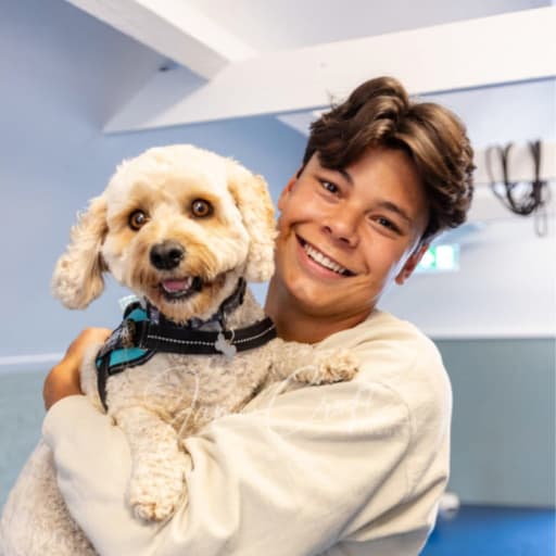 Profile image for pet sitter Lucas