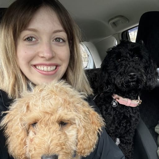Profile image for pet sitter Beth