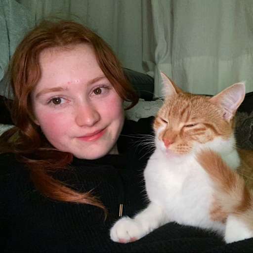 Profile image for pet sitter Ihapera