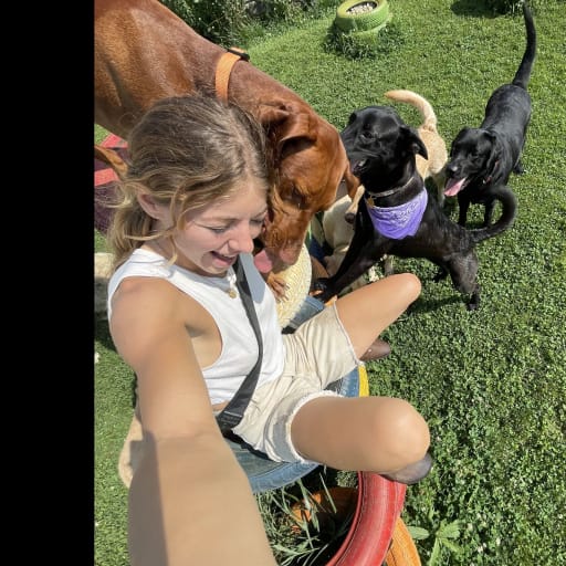 Profile image for pet sitters ana & Ciprian 