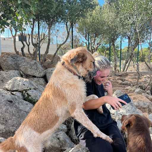 Profile image for pet sitter Vilde