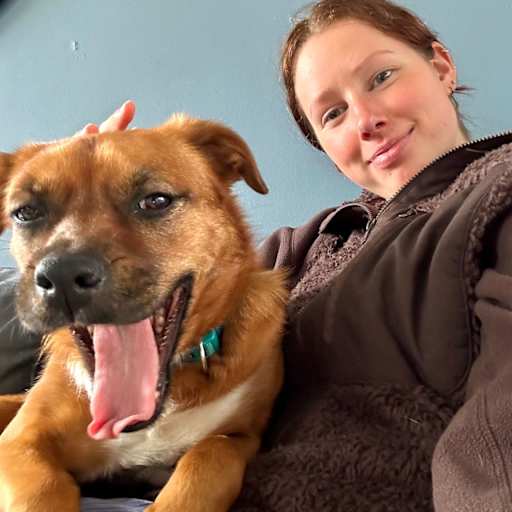 Profile image for pet sitter Sterre