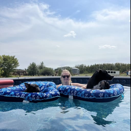 Profile image for pet sitter Lauren