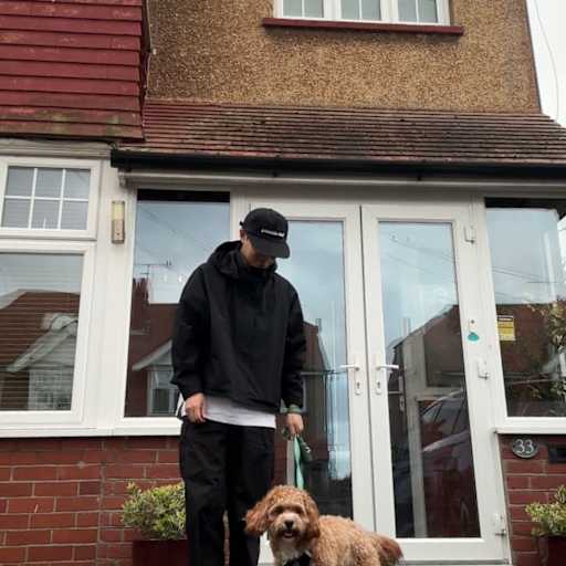 Profile image for pet sitter Ian
