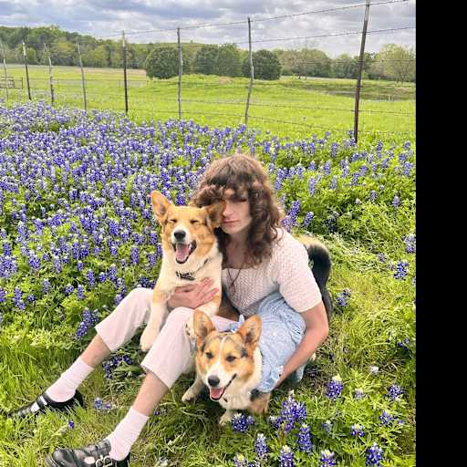 Profile image for pet sitter Tyler