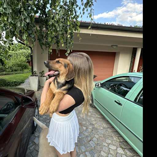 Profile image for pet sitter Iva