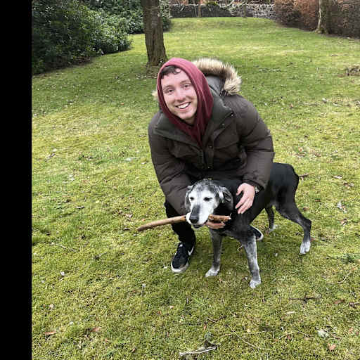 Profile image for pet sitter Harry