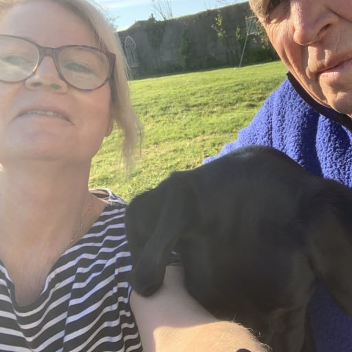 Profile image for pet sitters Susan & Peter