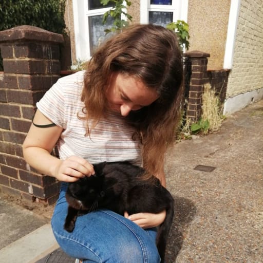 Profile image for pet sitter Elena