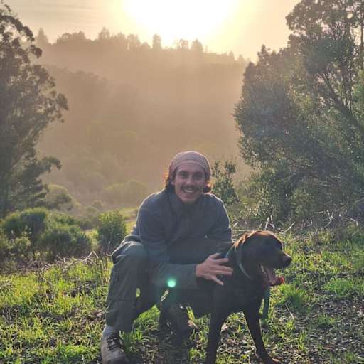 Profile image for pet sitter Adrien