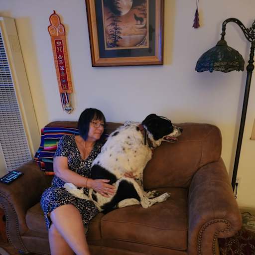 Profile image for pet sitters Laura & Michael