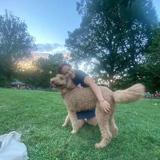 Profile image for pet sitter Yandare