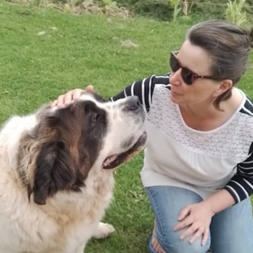 Profile image for pet sitter Christine