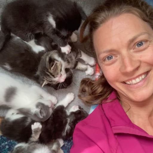 Profile image for pet sitter Lindsey