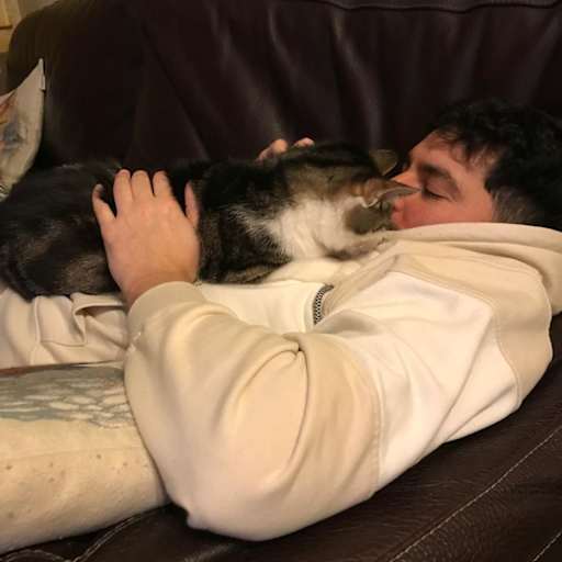 Profile image for pet sitter Sabri