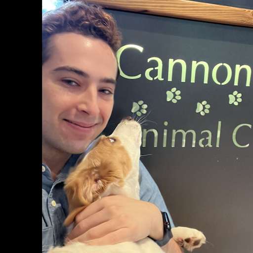 Profile image for pet sitter Gabriel