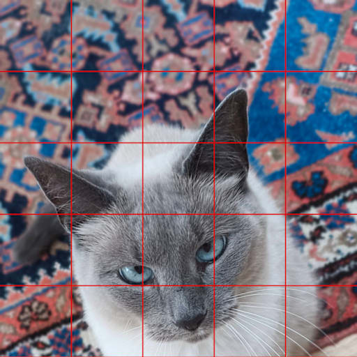 Profile image for pet sitter Diana