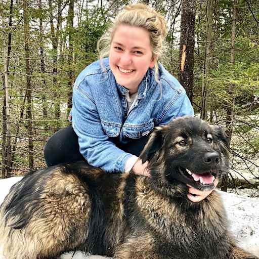 Profile image for pet sitter Solvej
