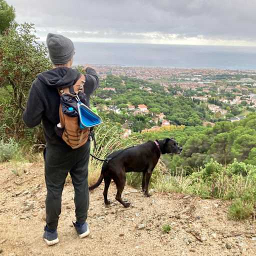 Profile image for pet sitters Mateja & Laszlo