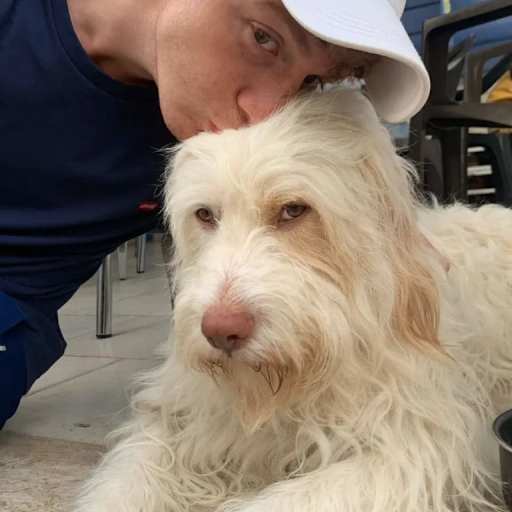 Profile image for pet sitter Tommaso