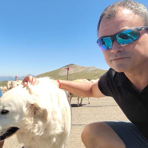 Profile image for pet sitter Clark