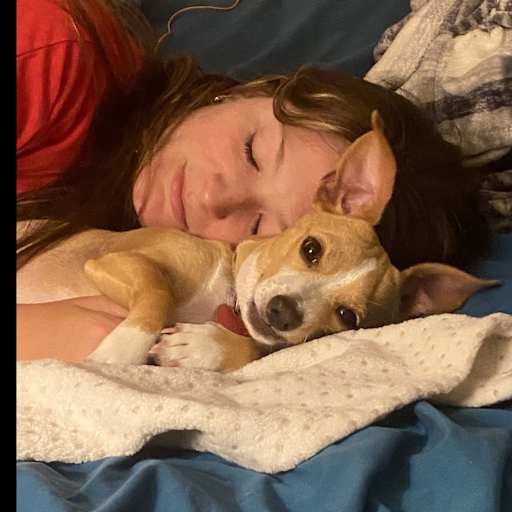 Profile image for pet sitter Katie