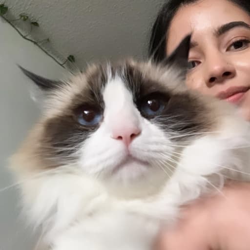 Profile image for pet sitter Sofia