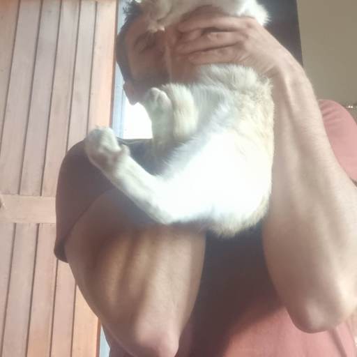 Profile image for pet sitter Leonardo