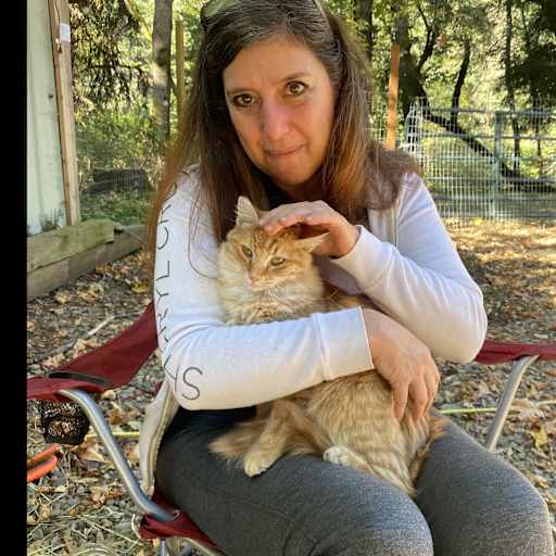 Profile image for pet sitter Willow