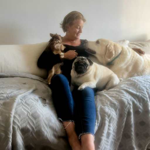 Profile image for pet sitters Jo & Richard