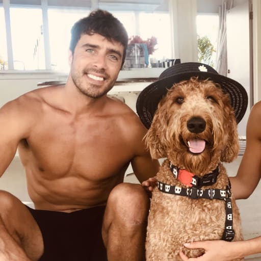 Profile image for pet sitter Richard